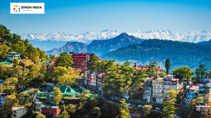 Shimla Singh India Holiday