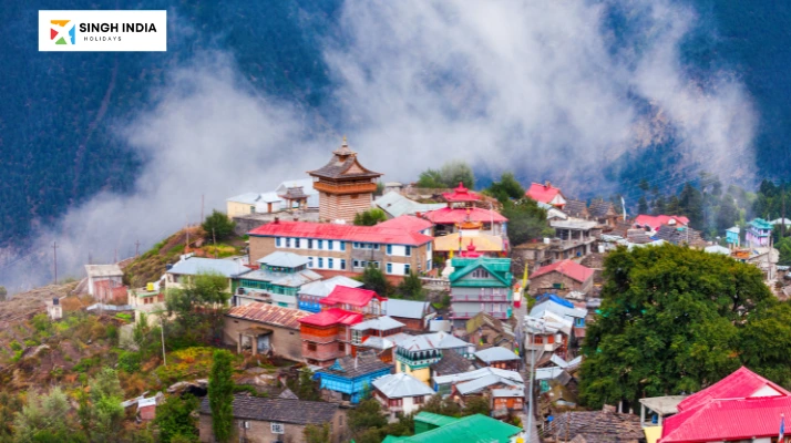 manali Singh India Holiday