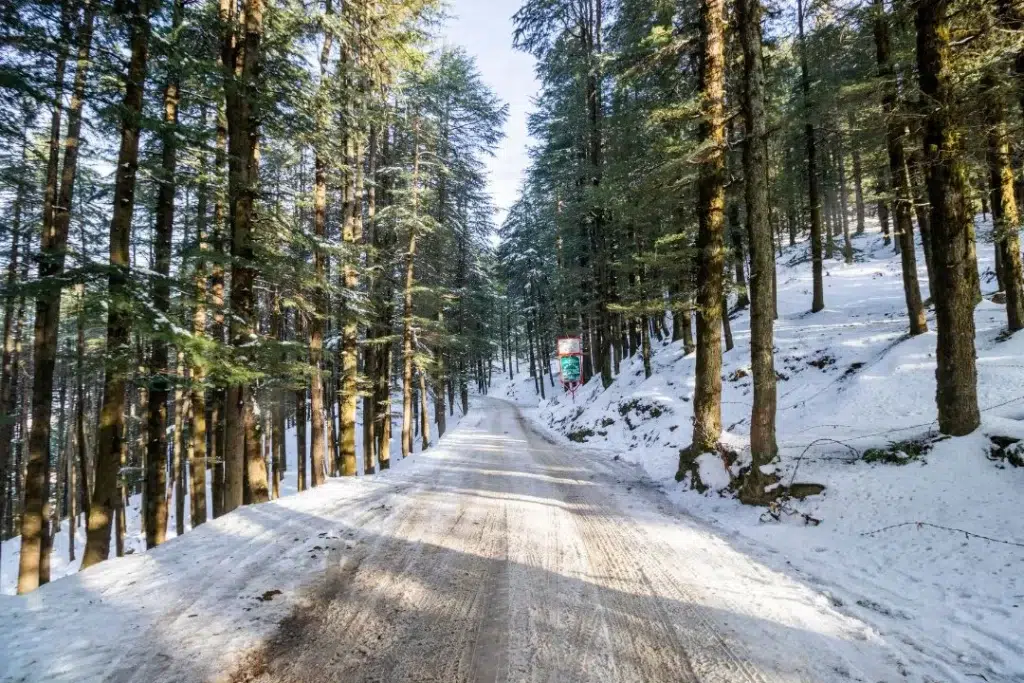 Shimla from Delhi Singh India Holiday