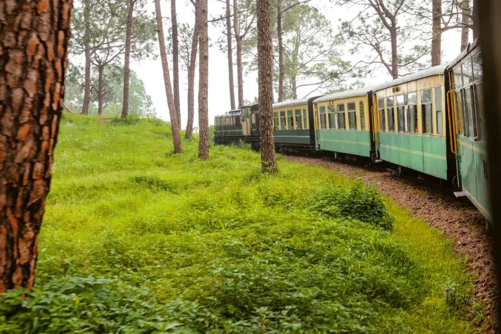Shimla from Delhi1 Singh India Holiday