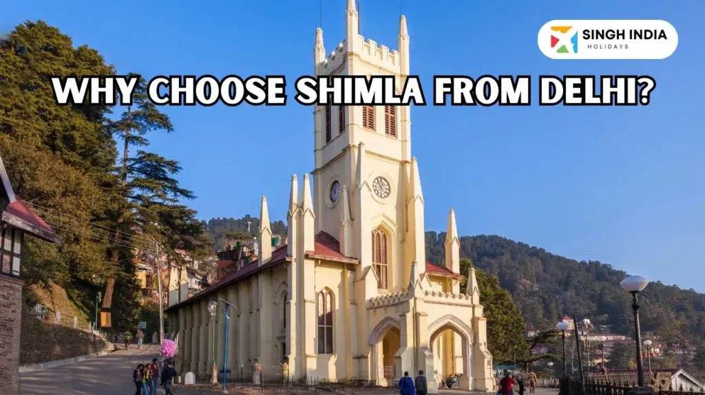 Why Choose Shimla from Delhi Image Singh India Holiday